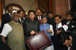 <p>Finance Minister Piyush Goyal</p>- India TV Paisa