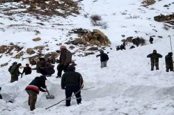 <p>Kinnaur Avalanche</p>- India TV Hindi