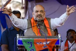 <p>Amit Shah (File Photo)</p>- India TV Hindi