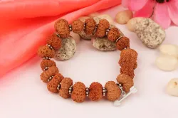  8 mukhi rudraksha- India TV Hindi