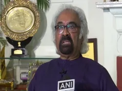 <p>Sam Pitroda</p>- India TV Hindi