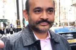 Nirav Modi- India TV Hindi