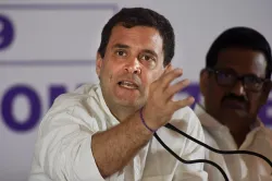 <p>Congress president Rahul Gandhi</p>- India TV Hindi