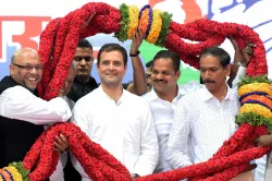 <p>Rahul Gandhi</p>- India TV Hindi