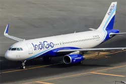 <p>Indigo</p>- India TV Paisa