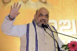 <p>BJP President Amit Shah</p>- India TV Hindi