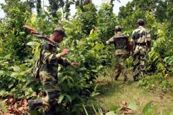 <p>Maoist</p>- India TV Hindi