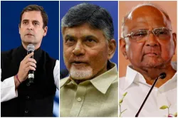 <p>CM N Chandrababu Naidu meets Rahul Gandhi and Sharad...- India TV Hindi