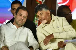 <p>Rahul Gandhi and Chandrababu Naidu</p>- India TV Hindi