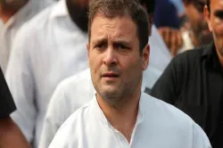 Rahul Gandhi- India TV Hindi