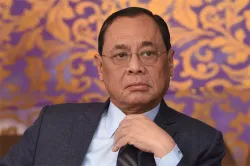 CJI Ranjan Gogoi gets clean chit in sexual harassment case- India TV Hindi