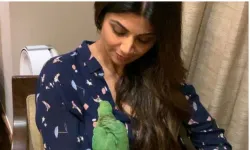 Shilpa Shetty - India TV Hindi