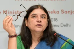 Maneka Gandhi visits Sultanpur, says people will answer why she was dropped from cabinet | PTI File- India TV Hindi