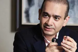 UK High Court denies bail to diamond merchant Nirav Modi- India TV Paisa