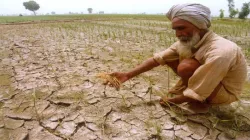 Representative Image of farmer. - India TV Hindi