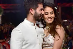 mirarajput , shahid kapoor - India TV Hindi