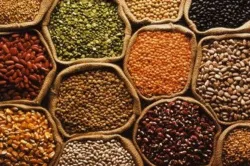 <p>Food price</p>- India TV Paisa