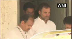 Rahul Gandhi- India TV Hindi