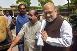 <p>Amit Shah</p>- India TV Hindi