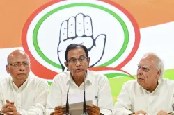 <p>Congress leader P Chidambaram</p>- India TV Hindi