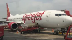 SpiceJet posts Rs 262 cr quarterly profit- India TV Paisa