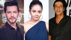 Bigg Boss 13 Contestants list- India TV Hindi