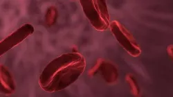 <p>Blood Cancer</p>- India TV Hindi