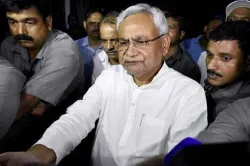 <p>Nitish Kumar</p>- India TV Hindi