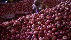 MMTC floats bids for import of 2,000 tonnes of onions- India TV Paisa