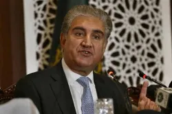 <p>Pakistan Foreign Minister Shah Mehmood Qureshi</p>- India TV Hindi