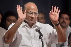 <p>Sharad Pawar</p>- India TV Hindi