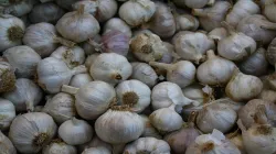 garlic price hike in Market - India TV Paisa