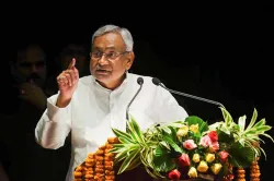 <p>Nitish Kumar</p>- India TV Hindi