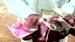 <p>RAT DAMAGE CURRENCY NOTES WORTH RS 50000</p>- India TV Hindi