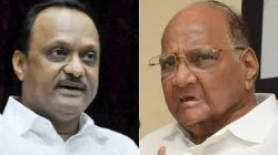 Ajit pawar NCP, Sharad Pawar, Sharad Pawar NCP, Devendra Fadnavis Ajit Pawar, Devendra Fadnavis CM- India TV Hindi