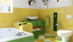 vatu Tips For Bathroom- India TV Hindi