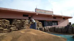 Govt hikes authorised capital of FCI to Rs 10,000 cr- India TV Paisa