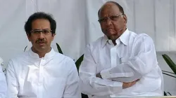 Shiv Sena CM, Shiv Sena NCP, Maharashtra CM, Sharad Pawar NCP- India TV Hindi