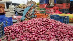 <p>onion</p>- India TV Paisa