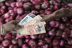 Onion Price । File Photo- India TV Paisa