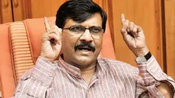 Sanjay Raut, Sanjay Raut PC, Maharashtra CM, Sharad Pawar NCP- India TV Hindi