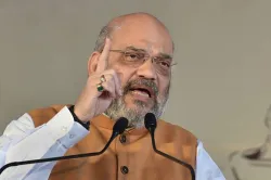 <p>Amit Shah</p>- India TV Hindi