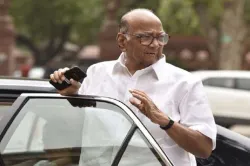 <p>Sharad Pawar</p>- India TV Hindi