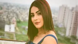 Shehnaaz Gill- India TV Hindi