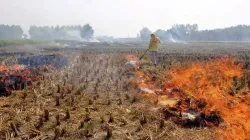 <p>stubble Burning </p>- India TV Hindi