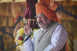 <p>Amit Shah</p>- India TV Hindi