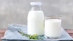 milk price increase 2019 - India TV Paisa