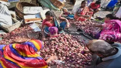 Onion Import, Onion price, MMTC- India TV Paisa