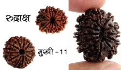 11 mukhi rudraksha- India TV Hindi