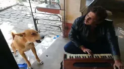 Talented dog praised on social media- India TV Hindi